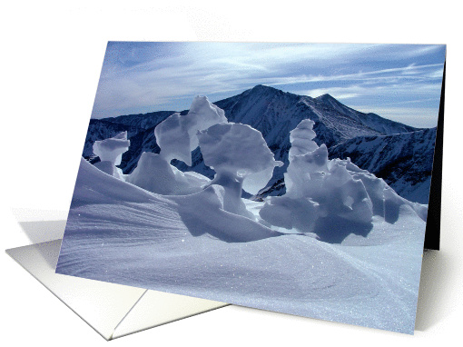 Torreys Peak card (284808)