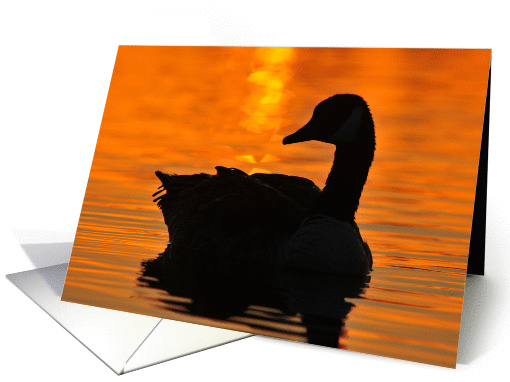 goose card (304096)