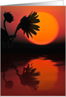 Sunflower Sunrise card