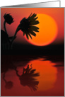 Sunflower Sunrise card