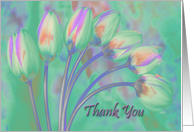 Tulips - Thank You