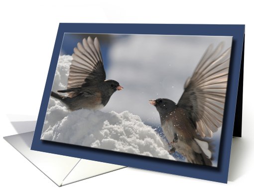 Dancing Winter Birds card (716872)