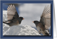 Dancing Winter Birds card
