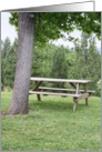 picnic table at a park card