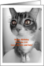 Happy Birthday from the cat card