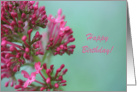 happy birthday flowers card