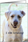 dog I am listening card