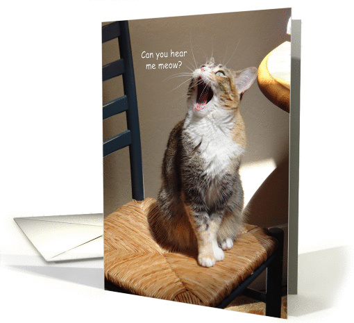 can you hear me meow card (1128148)