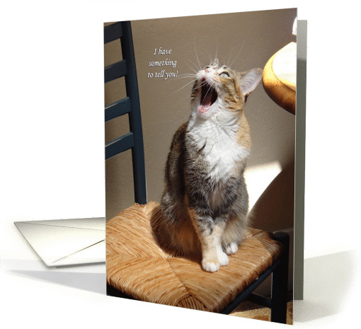 i have something to tell you card (1128154)