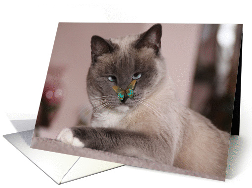 cat with butterfly card (1139778)