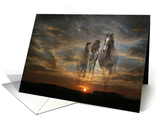 Wildhorses card (176962)