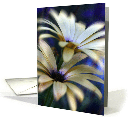 Yellow Flowers card (249357)