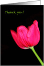 Thank you! card