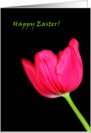 Happy Easter! card
