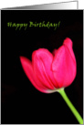 Happy Birthday card