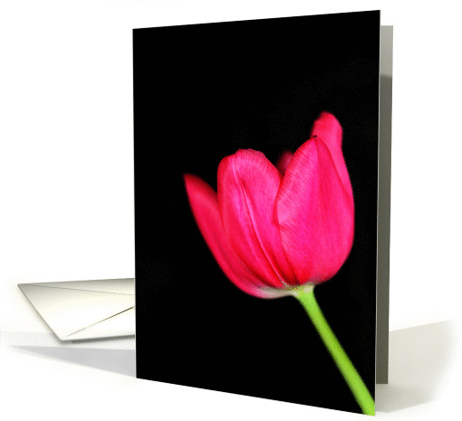 Tulip card (371954)