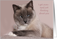 crossed eyed cat card
