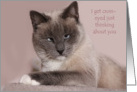 crossed eyed cat card