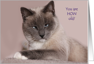 Happy Birthday card