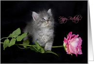 Happy Birthday card