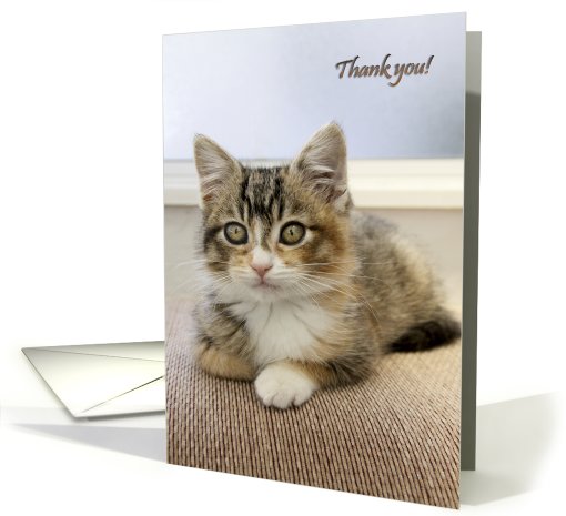 Thank you with a kitten card (748798)