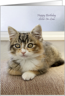 Happy Birthday sister in law with kitten card