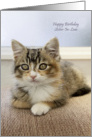 Happy Birthday sister in law with kitten card