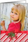 Christmas bow and snowflake frame photo card for Great Grandma card