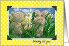 Thinking of You for Friend, teddy bear and rabbit in daffodil garden card