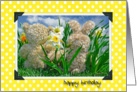 Happy Birthday -Teddy bear and bunny in daffodil garden card