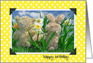 Friend’s Birthday, teddy bear and bunny in daffodil garden card