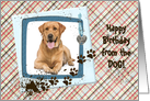 Happy Birthday from the Dog, muddy paw prints photo card