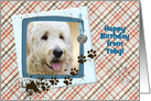 Happy Birthday from the Dog with muddy paw prints photo card
