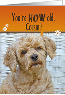 Cousin’s Birthday, cute brown poodle with wicker background card