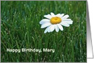 Custom name for Birthday-daisy in grass card