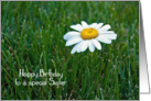 Sister’s Birthday-daisy in grass card