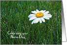 Wife’s Name Day close up of a single white daisy in grass card