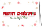 Merry Christmas for Pastor-snowflakes border on white with reflection card