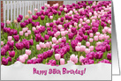 95th Birthday pink Dutch tulips with fence and torn paper border card