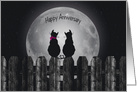 Anniversary for couple, silhouette of cats on a fence with full moon card