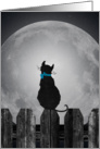 Miss You on your Birthday-silhouette of cat on a fence with full moon card