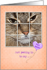 Birthday cat peeking in window with heart balloon on polka dots card