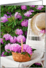 Happy Birthday-rhododendron basket on chair with hat card
