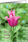 Heartfelt Sympathy pink tulip in spring garden. card