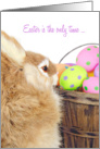 Easter bunny with polka dot eggs in old bushel basket card