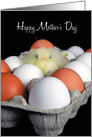 Mother’s Day, baby chick in egg carton with eggshell cap card