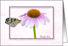 Thank You-butterfly on a cone flower with shadowed frame card