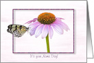 Name Day butterfly on a cone flower with shadowed frame card