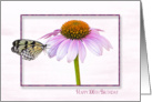 106th Birthday-butterfly on a cone flower with shadowed frame card