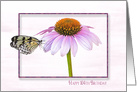 104th Birthday, butterfly on a cone flower with shadowed frame card